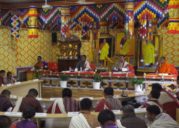 Samtse DT calls for urgent action on long-unsurveyed TP plots, over 1000 cases reported nationwide