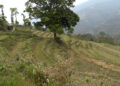 Farmers fear crop loss as chain-link fencing work delays, Trashigang