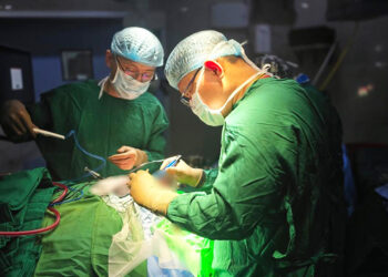 Bhutan-Thailand collaboration brings complex brain surgeries home
