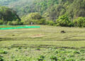 Bhalue farmers pin hopes on new solar water pump – Punakha