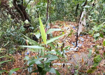 Waste issue hits Tumdra Ami Ney following Maha Shivaratri celebrations