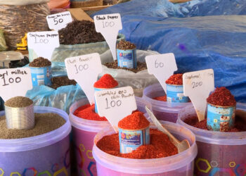Hope for spice farmers as government drafts strategic plans to boost sector