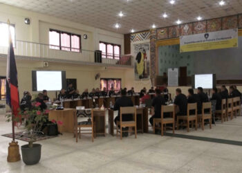 Three key actions adopted to support Gelephu Mindfulness City vision