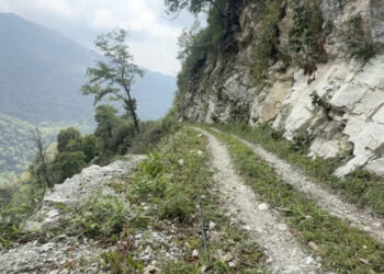 Zhushidingkha residents in Chhukha call for urgent road improvements