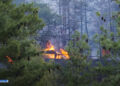 Forest fire cases surge, 25 incidents in just four months