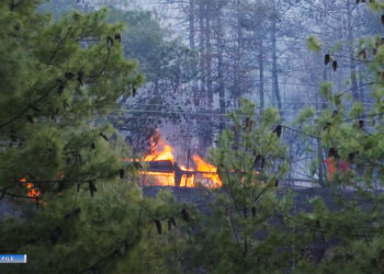 Forest fire cases surge, 25 incidents in just four months