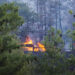 Forest fire cases surge, 25 incidents in just four months