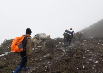Threlphu villagers revive horse rearing for porter services as pilgrimage to Chenla Ney grows, Trashigang