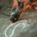 Creation in real time, young artisans and app developers showcase skill and precision at National Skills Competition