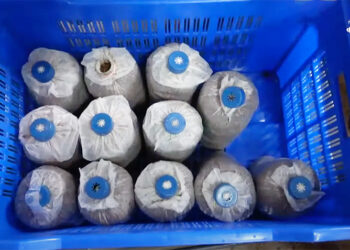 Farmers in eastern Bhutan trained to cultivate nameko mushrooms