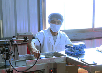 YELP supports over 7,900 youth, gain jobs and skills since 2019