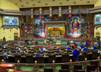 Parliamentarians call for detailed review of rural life insurance plan