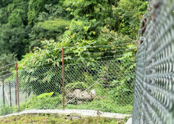 Chain-link fencing brings hope to Samarchen farmers