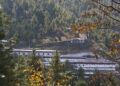 What’s driving drug trafficking in Bhutan? Inmates share reasons