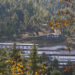 What’s driving drug trafficking in Bhutan? Inmates share reasons