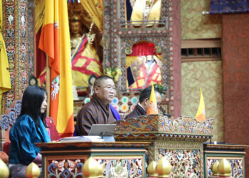 MPs urge action as rural health services face delays