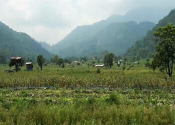 Chain link fencing helps revive abandoned farmland in Chhoekhorling, Pema Gatshel
