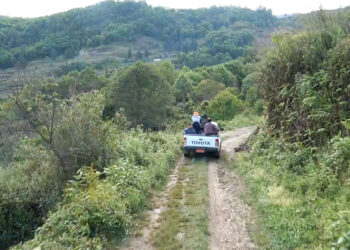 Residents seek farm road linking Kangpar and Lauri Gewogs