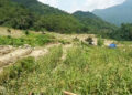 Land development project brings new life to farmland in Norbugang Gewog