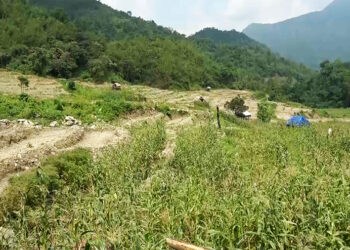 Land development project brings new life to farmland in Norbugang Gewog