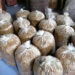 Zambalha Cooperative trained in mushroom cultivation to boost rural income, Pema Gatshel