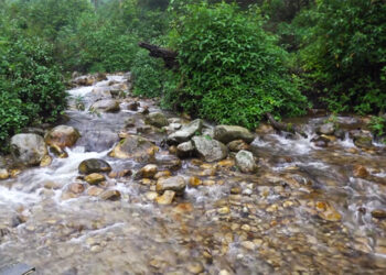 Villagers in Kamina-Wogyal, Wangdue Phodrang gear up for trout farming project
