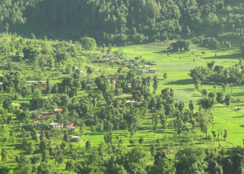 Tsirang boosts organic farming with seventh vermicompost plant