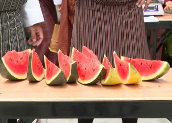 Made in Bhutan Exhibition and Watermelon Festival kick off in Thimphu