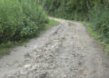 Poor road conditions threaten safety and livelihoods in Toebisa Gewog, Punakha