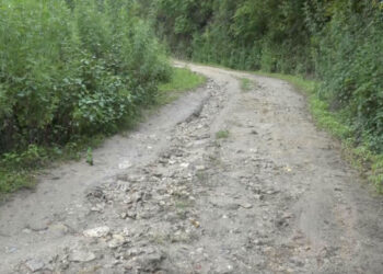 Poor road conditions threaten safety and livelihoods in Toebisa Gewog, Punakha