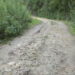 Poor road conditions threaten safety and livelihoods in Toebisa Gewog, Punakha