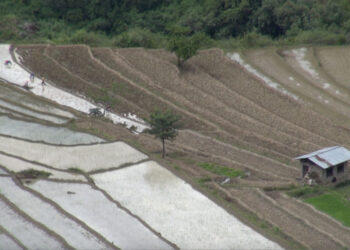 Nearly 100 households await rain to start paddy cultivation on 75 acres in Bidung Gewog