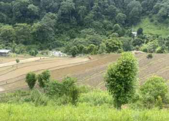 Water woes hamper paddy cultivation in Thridangbi, Monggar