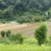 Water woes hamper paddy cultivation in Thridangbi, Monggar