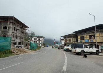 Gedu town resolves stray cattle issue after years of concern, Chhukha