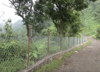 New fencing brings hope and security to farmers in Raling and Pemathang, Samdrup Jongkhar