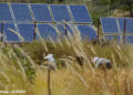 ICIMOD and Dept of Energy propose solar and wind-powered irrigation for Bhutan