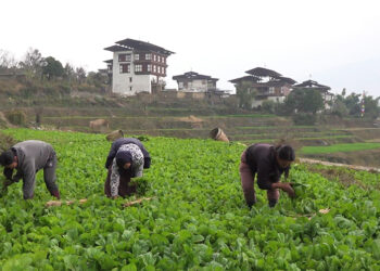 CCAA study finds monks and farmers more vulnerable to unfair market practices