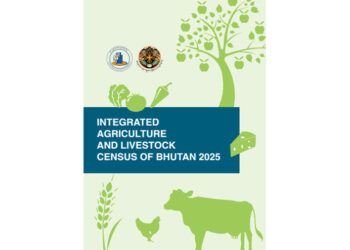 Vegetable and cereal yields improve but livestock losses worrying: Integrated Agriculture and Livestock Census 2025