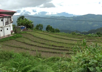 Farmers return to fields as irrigation channel restored in Sergithang Toed Chiwog, Tsirang