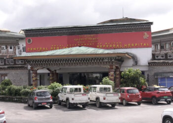 Gelephu Central Regional Referral Hospital achieves zero maternal deaths, reports drop in mortality cases