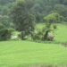 Irrigation channel restored, Samdrup Jongkhar’s Khengkharwoong farmers resume paddy cultivation