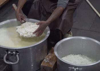 New facility transforms dairy farming for Nubee Om Nyamlay Detshen in Trongsa