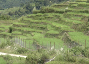 First chain-link fencing project in Radhi Gewog to benefi Dekiling-Tsangkhar farmers