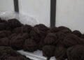 Haa’s National Yak Farm produces first batch of machine-processed wool, could earn Nu 2.9 M annually