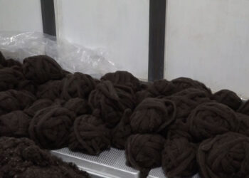 Haa’s National Yak Farm produces first batch of machine-processed wool, could earn Nu 2.9 M annually