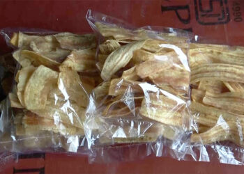 Banana chips business takes root in Shumar Gewog, Pema Gatshel