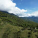 Bhutan to restore 50,000 hectares of degraded land over next ten years