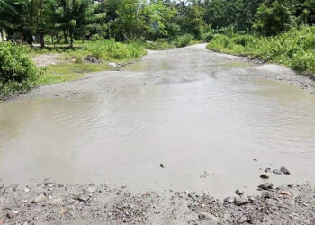 Road woes in Khamaedthang Chiwog to end soon with Nu 35 M blacktopping project