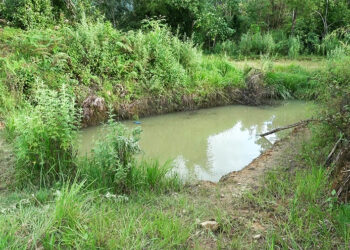 Nine-year-old boy’s death in pond raises safety concerns over unfenced water bodies in Tsirang